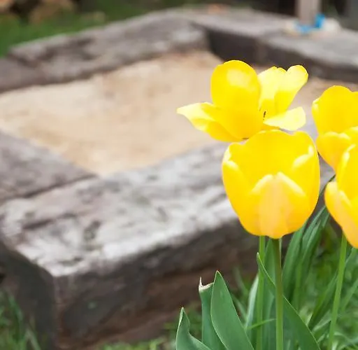 Tibor Skarba Apartment Dunajská Streda